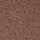 Shaw Floors: Dalton 40 12 Antique Silk